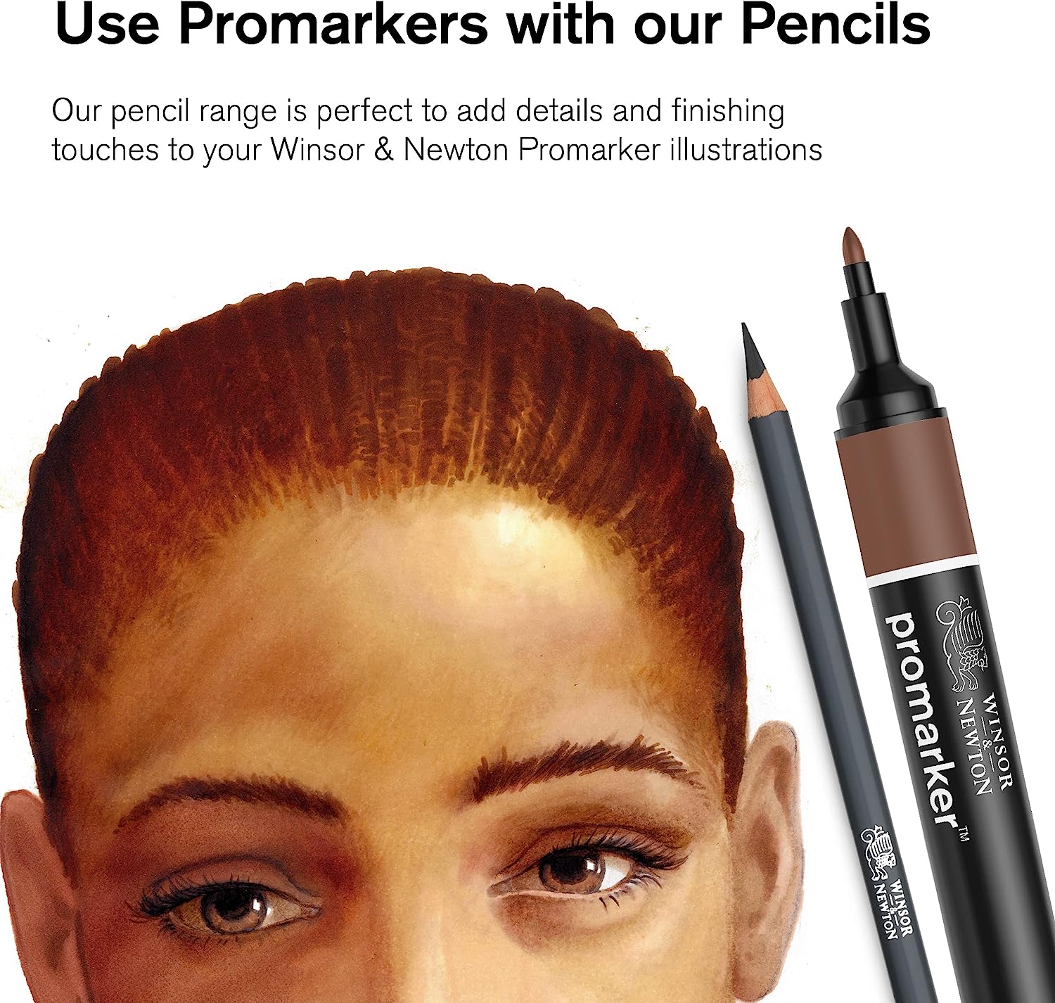Winsor & Newton Studio Collection Artist Pencils, Color Pencils, Set of 12 - Image 9